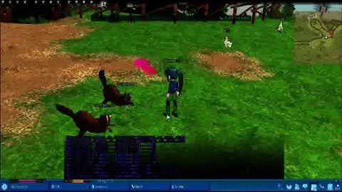 Mabinogi Beginners Guide: Part 2-interface and controls (part 1 of 2)