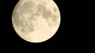 Full Moon Time-lapse. Nikon Coolpix P900 zoom test by Julian Bigg 523 views 8 years ago 41 seconds