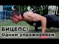 Отжимания от пола на бицепс! Как?