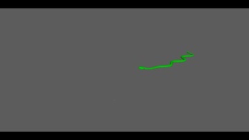 Snake walk / Snake Animation