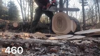 Ported 460 vs ported 461
