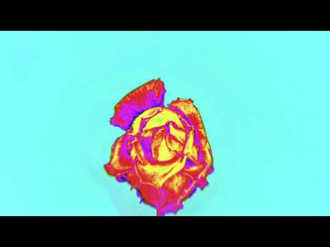 Kaivon - Back To Life (Official Visualizer)