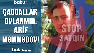 Çaqqallar Ovlanmır Arif Məmmədov