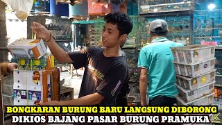 BONGKARAN BURUNG STOK TERBARU DIKIOS BAJANG PASAR BURUNG PRAMUKA TERBARU HARI INI