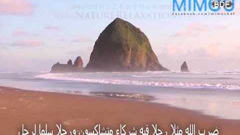 تلاوة سورة الزمر من الاية 22 الى 37 - القارئ ماهر المعيقلي