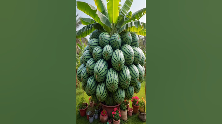 How to Grafting Banana with watermelon easy #shorts #satisfying #farming
