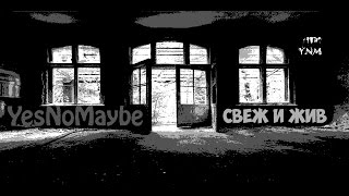 YesNoMaybe - свеж и жив