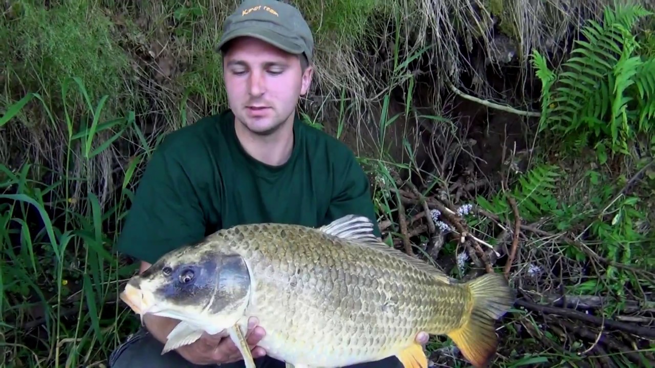 NO RESPECT Kimot Team ● CARP TOUR ● CT Prčice