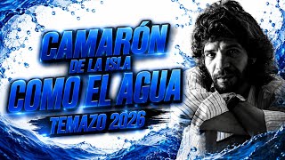 💧 Como El Agua - Camarón De La Isla 🌊 Temazo 2026 💙