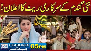 New Official Wheat Price Announced – Big Relief for Farmers | 05PM News Headlines | 07 June 2026