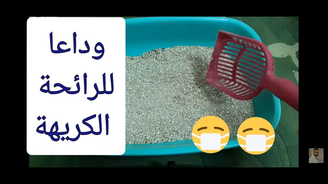 حل مشكلة الرائحة الكريهة في الليتر بوكس بطريقة سهلة وبسيطة