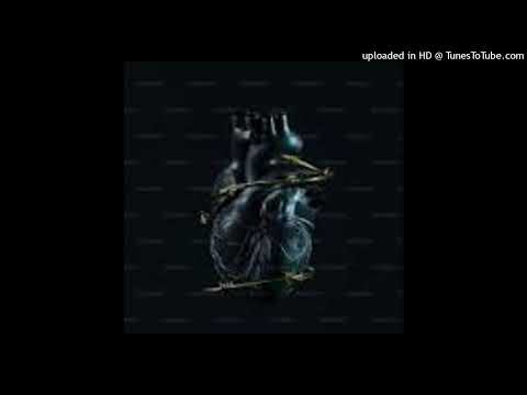 Optimist Music Za - Undimeme Ndizakuza ( Visualizer) Unconditional Touch