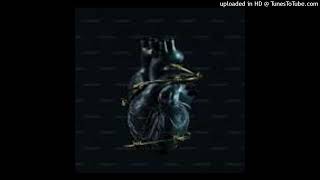 Optimist Music Za - Undimeme Ndizakuza ( Visualizer) Unconditional Touch