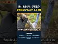 家にあるアレで撃退? 超手軽なアルミホイル対策