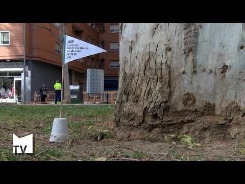 Vídeo: Avortament De Gossos: Prevenció De L’embaràs En Gossos