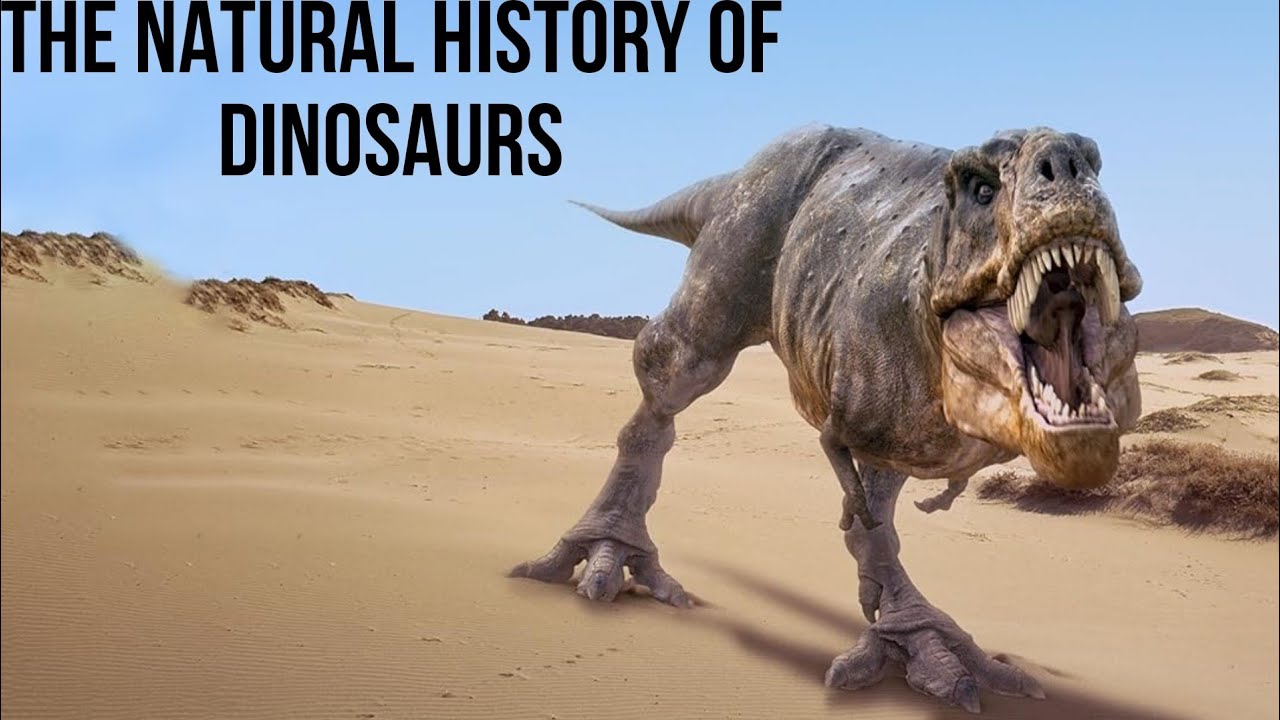 The natural history of dinosaurs discoveries biology anatomy and