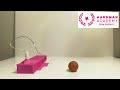 Heavy Ball Bounce - Aardman Academy