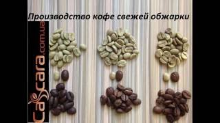 Кофе свежей обжарки. Cascara Coffee Roasters. Выбор ниши - бизнес на кофе(, 2016-09-09T18:42:35.000Z)