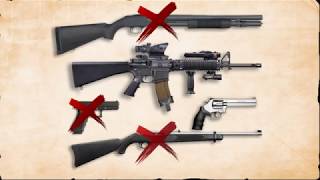 The Best Apocalypse Gun in the World (repost from rational preps channel)