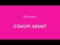P!nk - Who Knew? (Subtitulada español, inglés)