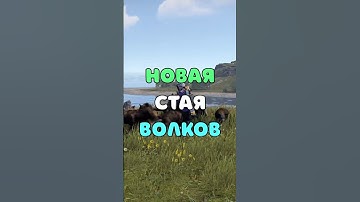 НОВАЯ СТАЯ ВОЛКОВ В RUST/РАСТ. #shorts #rustобновление #rustnews #rust #раст #rust2