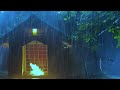 Within 3 Minutes You Will Sleep Instantly with Heavy Rain &amp; Thunder on a Tin Roof in Forest at Night