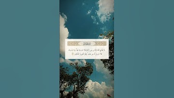 #قران_كريم#سورة_فاطر #القارئ_محمد_صديق_المنشاوي