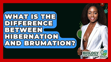 What Is The Difference Between Hibernation And Brumation? - Biology For Everyone