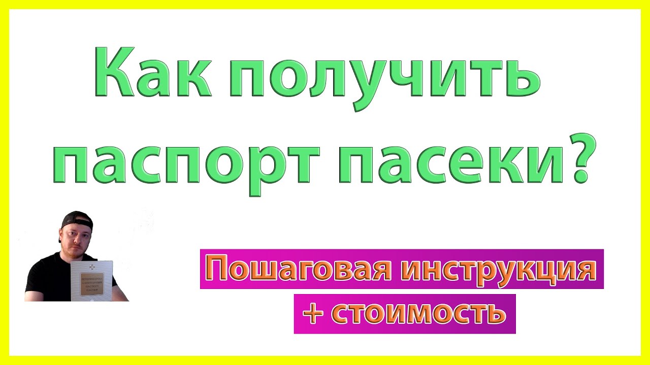 Пошаговая инструкция на оформление паспорта пасеки (ветеринарно-санитарный паспорт пасеки) + цены.