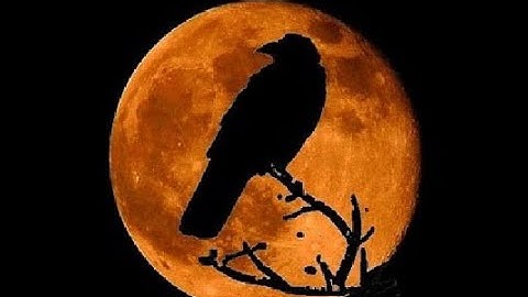 New Moon October 25, 2022 in Scorpio, Solar Eclipse and Blood Moon.