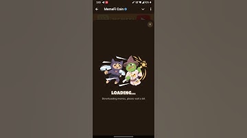 The Best Way To Learn Everything And Be Successful| Memegirls Code | Video Code Today