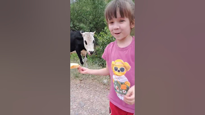 кто испугался больше?🤭