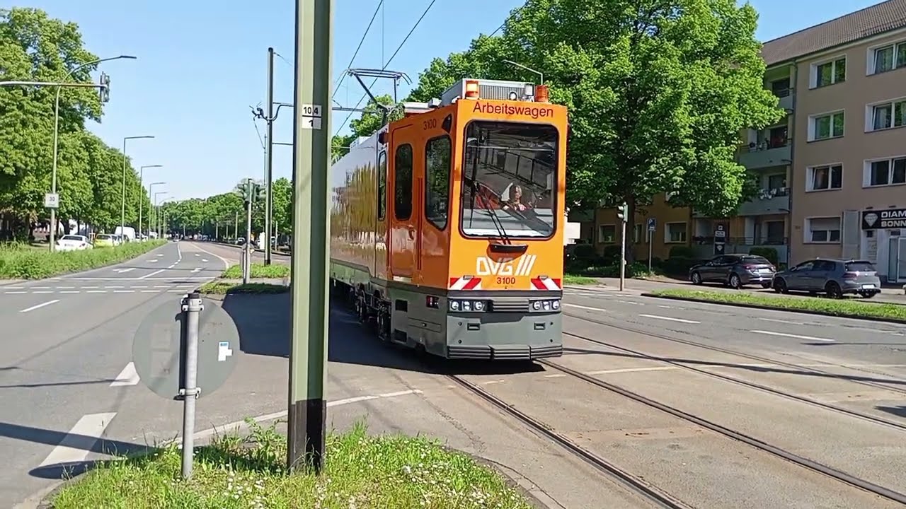 [Spotten2025] DVG/// N-Wagen B-Wagen und Busse @DVG_Duisburg 