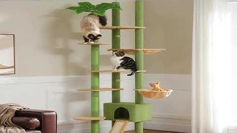 A must-have product! Cactus Cat Tree Floor to Ceiling Cat Tower Adjustable Height with Cat Condo C