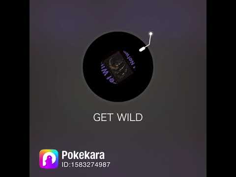 GET WILD（歌ってみた）