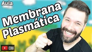 Membrana Plasmática - Funções e Estrutura | Biologia com Samuel Cunha