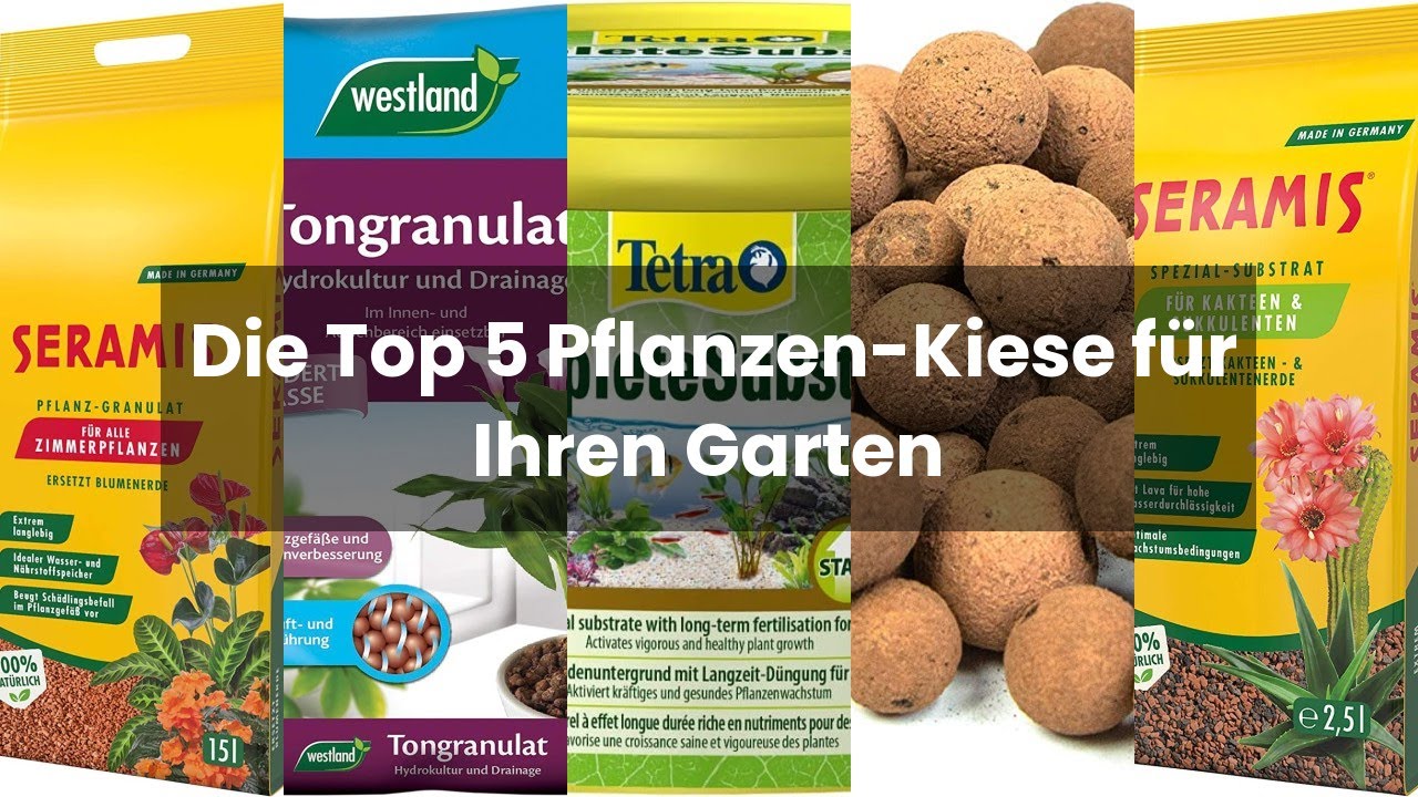 Kies für Pflanzen: Die Top 5 Pflanzen-Kiese für Ihren Garten