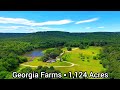 Georgia Farms For Sale / 1,124 Acres / Private Aviation Investors / Georgia Land For Sale/Sand Creek