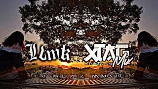 Xtag - The Way You Are Rmx Z0Z4