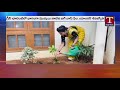 Big Boss fame Shiva Jyothi completes Green Challenge 3.O