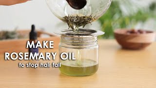 Make rosemary oil at home to stop hair fall and regrow thinning hair