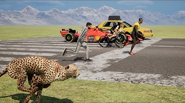 Speed Comparison | The Fastest Animal vs Human and Transportations