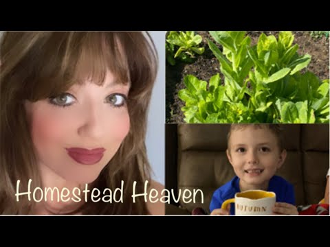 A Day in My Life | Large Family Vlog | Homeschool Mom | Fall Boots ...