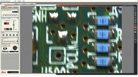 Adjusting the Stereo Microscope Image with Leica LAS