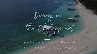 Diving in the Philippines: Trip highlights from Malapascua and Dauin