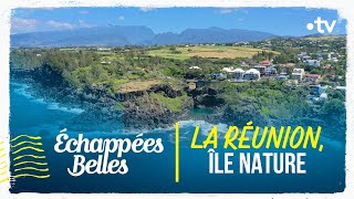 La Réunion, île nature  Échappées belles