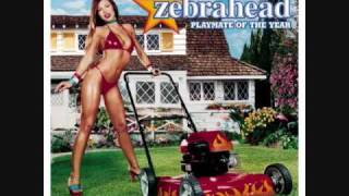 Zebrahead - The Hell That Is My Life