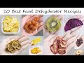 10 Best Food Dehydrator Recipes You Will Want to Try