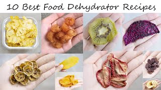 : 10 Best Food Dehydrator Recipes You Will Want to Try