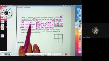 Notes: Complex Inheritance Patterns